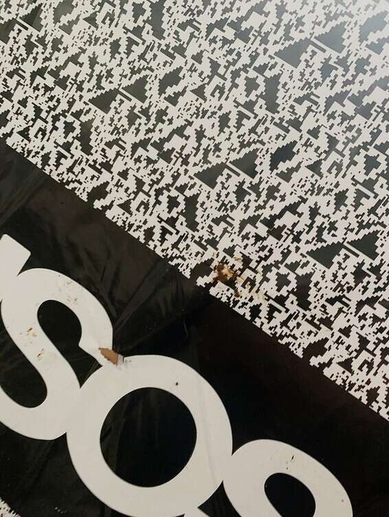 מזעזע. חבילה עם צואה // צילום: טוויטר